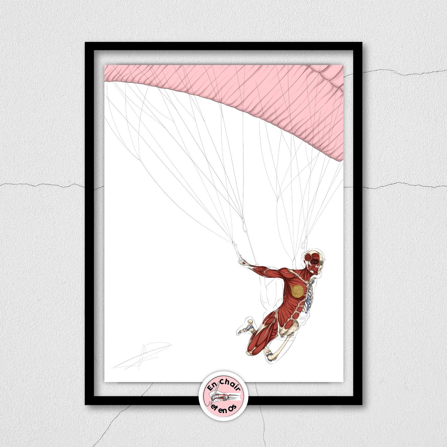 Poster anatomique parachute 